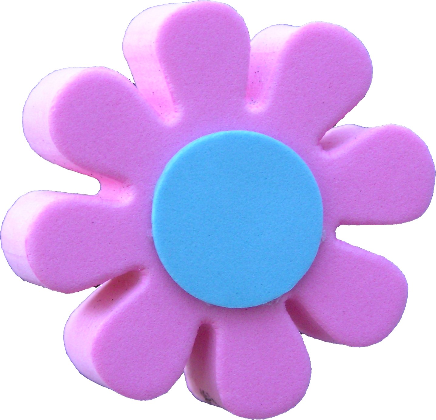 Pink and Blue Daisy